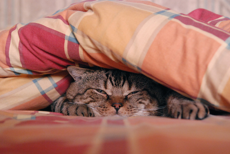 ���� �� 30.09.������ � ������� ��� ���� �����.���������,������ ������,������,���������� ��������� ����, ���������, ��������.������ ���������� 200 � 100 ��/�2.������, ������������.46 