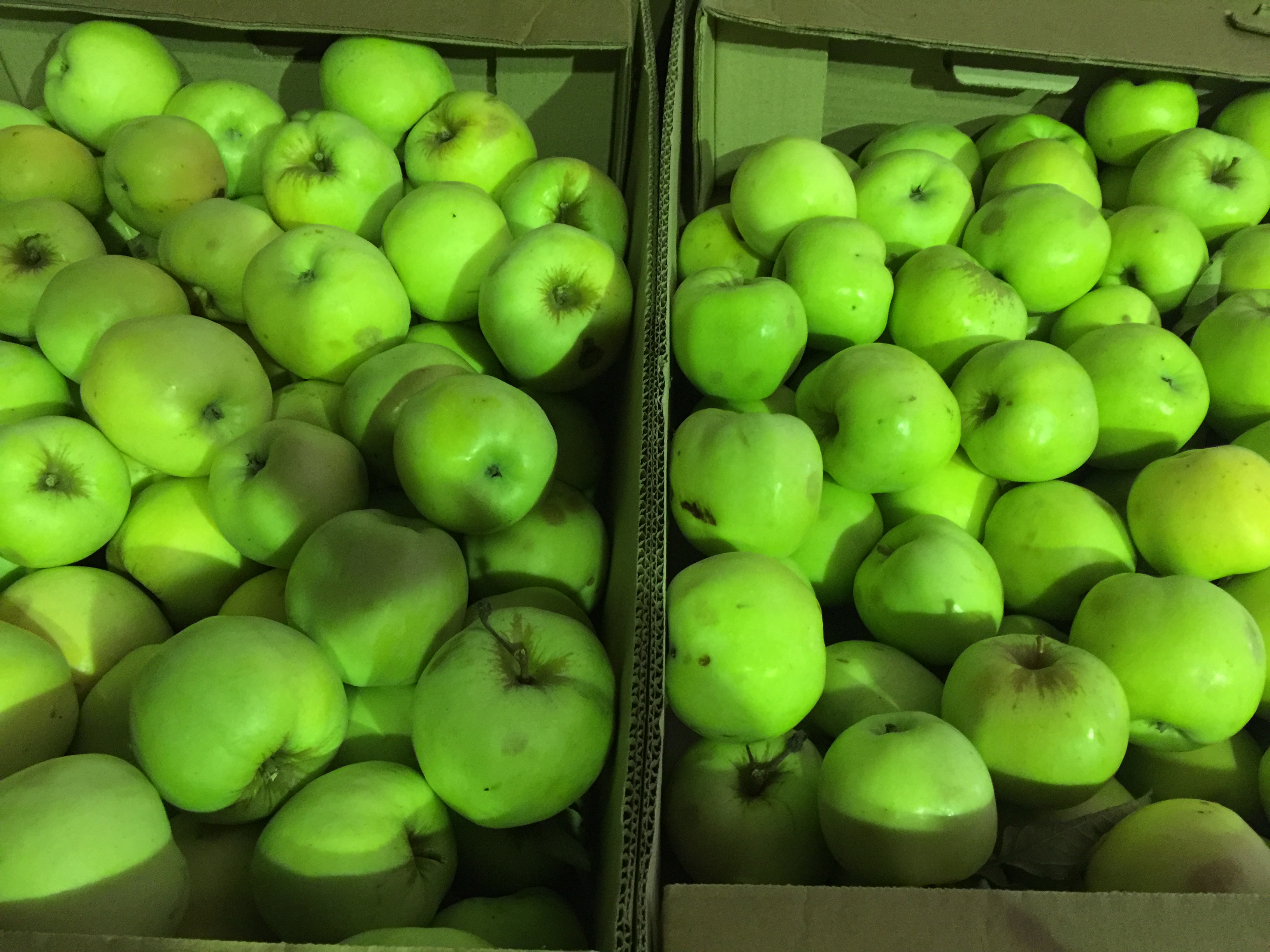 ���� �������. ������ � ����� (�� �������, ���� �����).