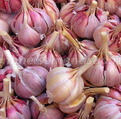 ���� ������� �� 22.09. ������� ����� - ������ ������ 