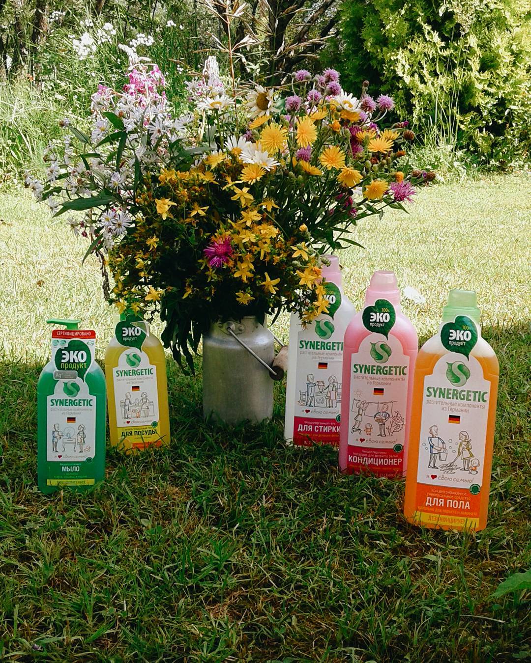 Synergetic-����������� ������� ����� � ������ ���� �� ������ ������������ ����������� �� ��������. ����� �������! ��������-2