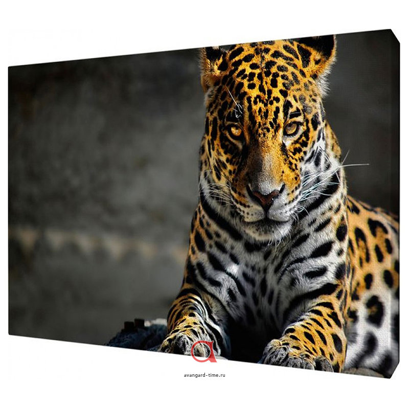 ���� �������.���� ��������� ,���������� ,����������, ���������.����� �������� ����� ����� �� ����� ������ �����!�������� � ������ ���������, �� ����� ���� � ������� !����-�������, ��������� �������.��� 36