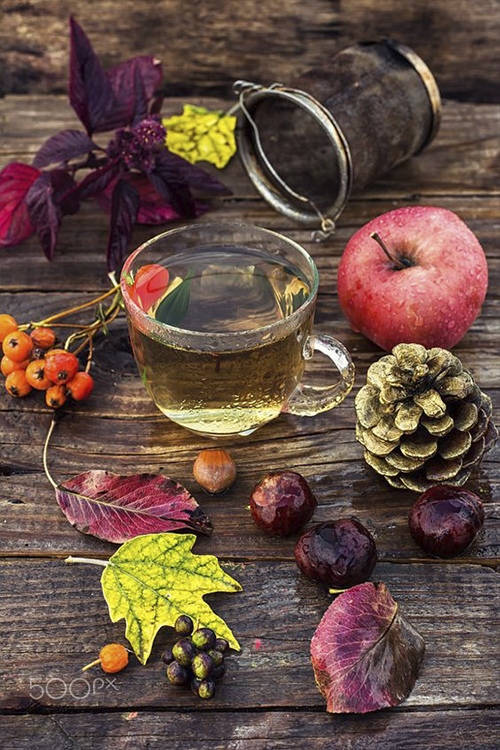  ������� �������� ������������ ��� 