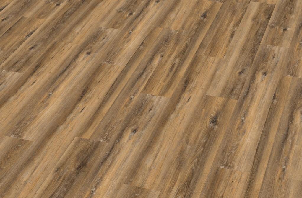 [b] ���� �� 25 �������. ���������� �������� [b]