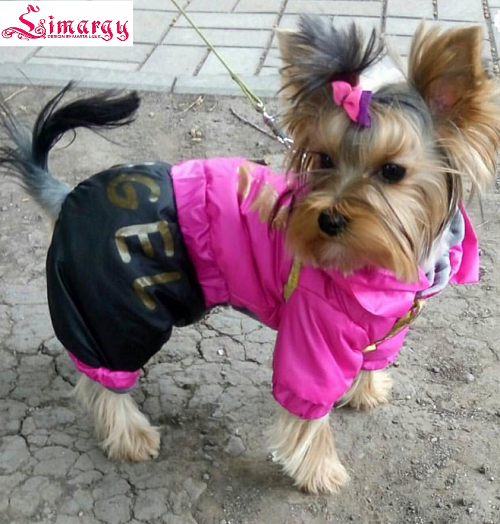 ���� �������. ������ � ���������� ��� ����� �� Lim@rgy.���������� �� 60% - ���������� ��������� ��������! ����� 4.