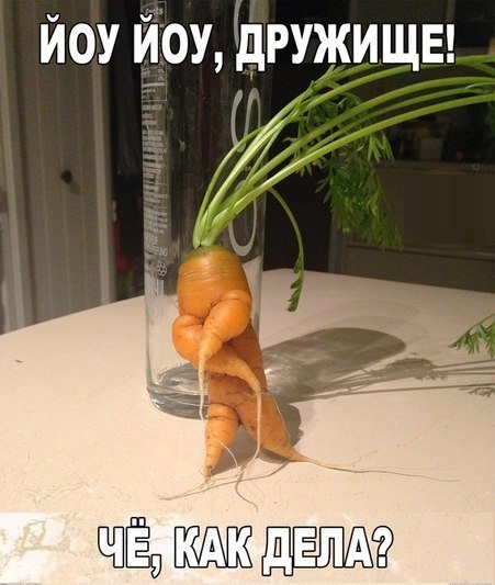 ������� ����