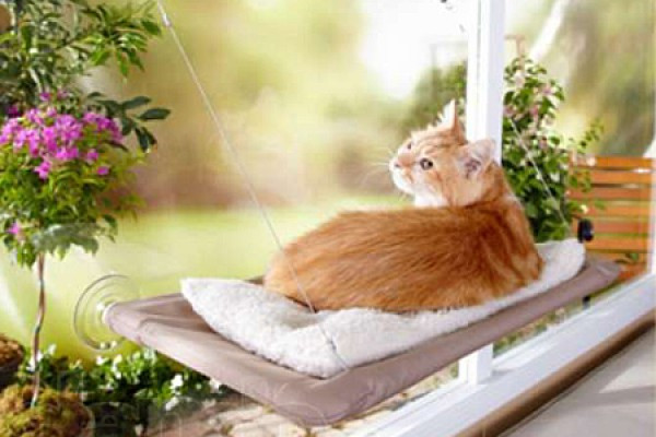 ������ ��� ������� ����� �������! 