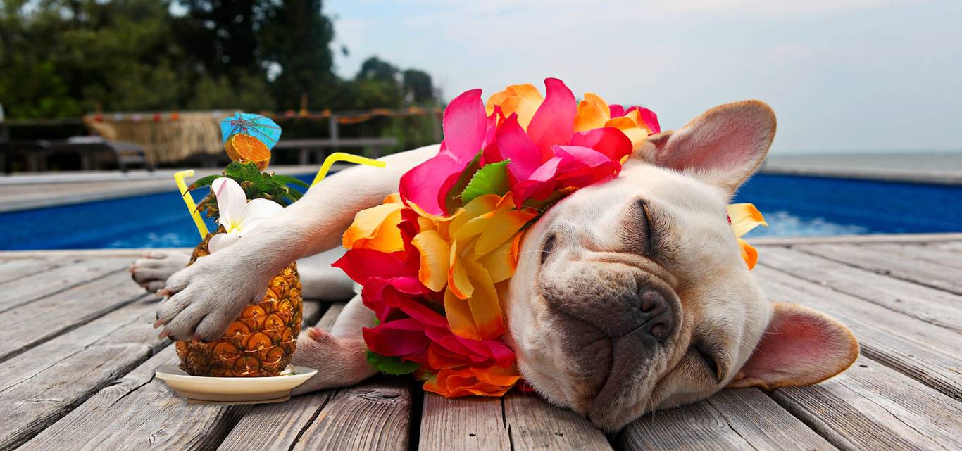 ��������� ���������, �� 7 ������� �������� � ������� � ������������ �������� � ��������.