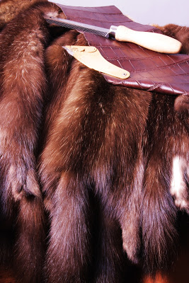 ��� ������ � ������, ����� ������ �� ����� -���� ������� �������� ������, ��� ��������� ��� ������ ����?