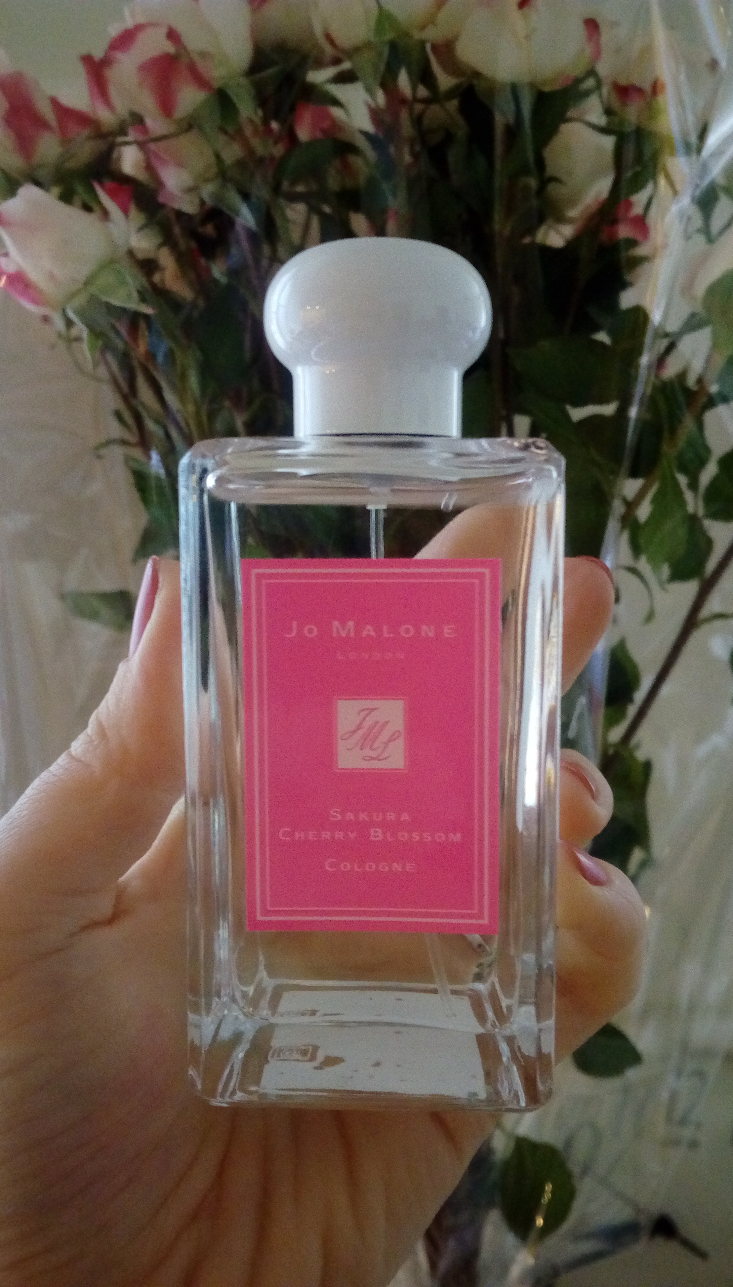 �, �������, ���� ��������)!!! �� ����� �� ����������������))! 10�� �������� �� ���� ���� 5900+%!!!! ������ ��� ���� ��������� 8000