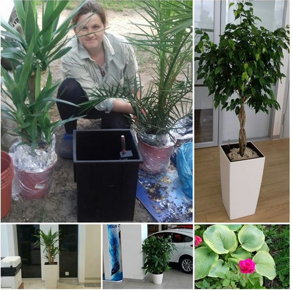 ������� ��������� - ���������-��������!