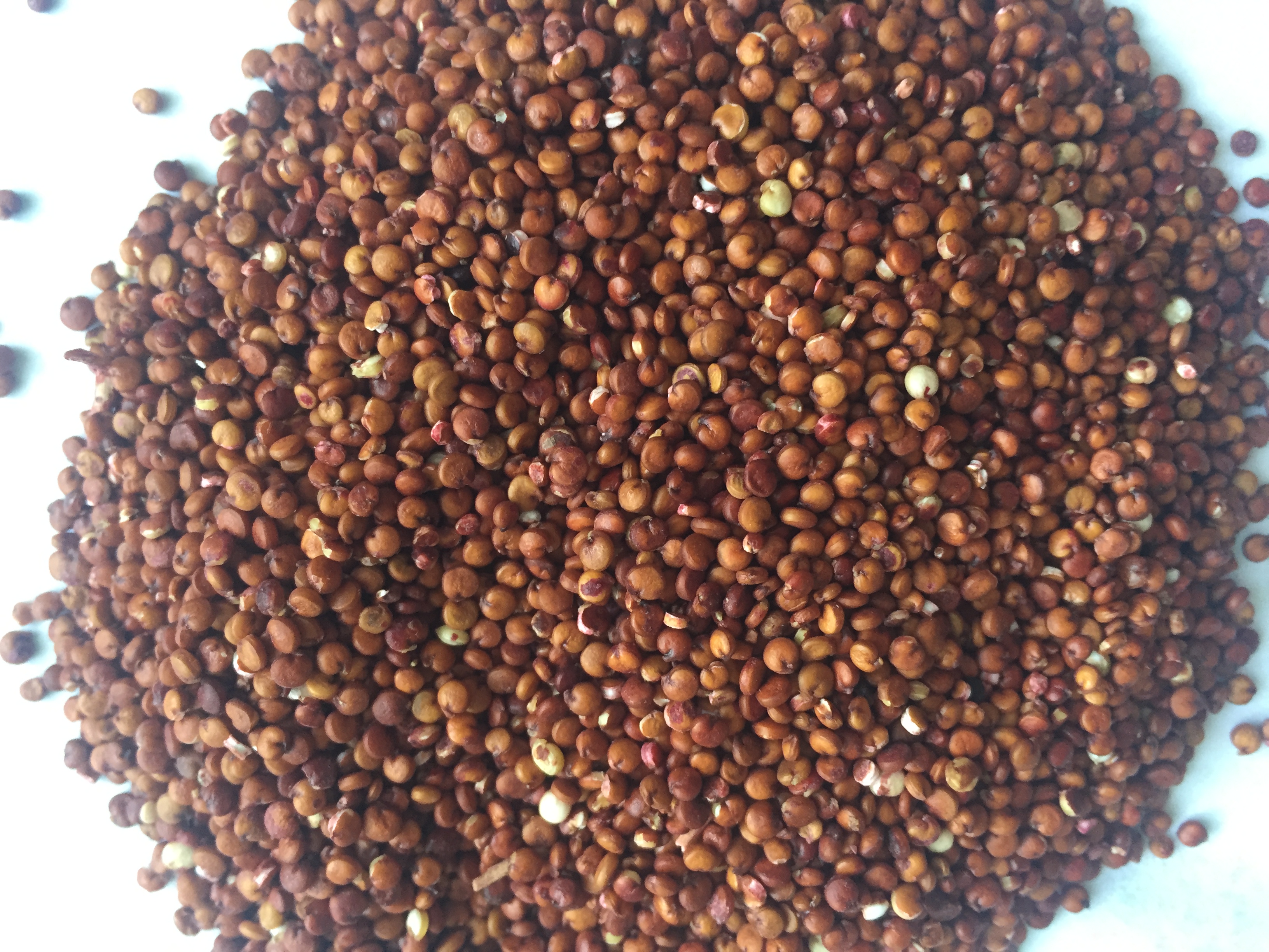 ����� ����� ����� �����???