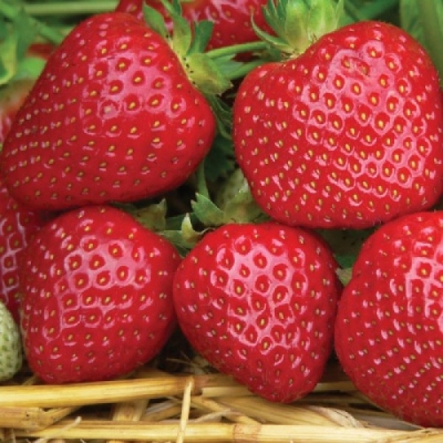 ���� �������. ��������� 18 (�� �����).