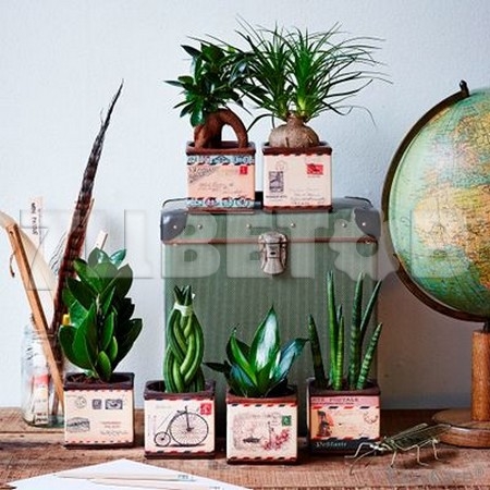 ���� �� 18 �������. ��������� ��������� ��������. 11-18.