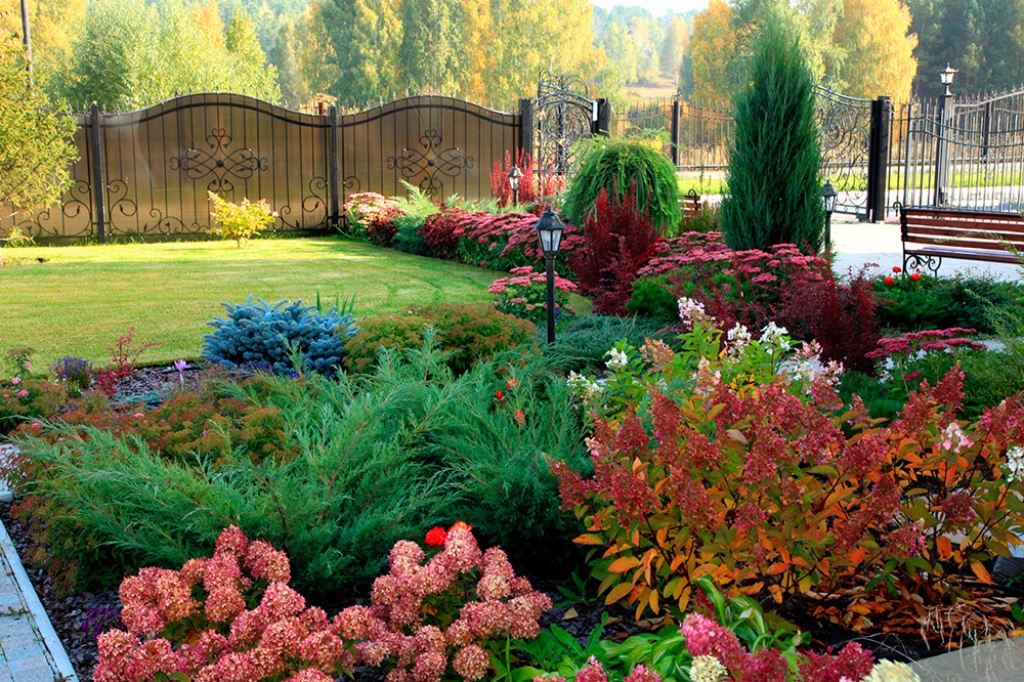 ������� �������, �����������-���������� �������, ���������, ������, ������, ���������� � ������ ������. �������� �������� ���� �� ����� 2019�-����� 4