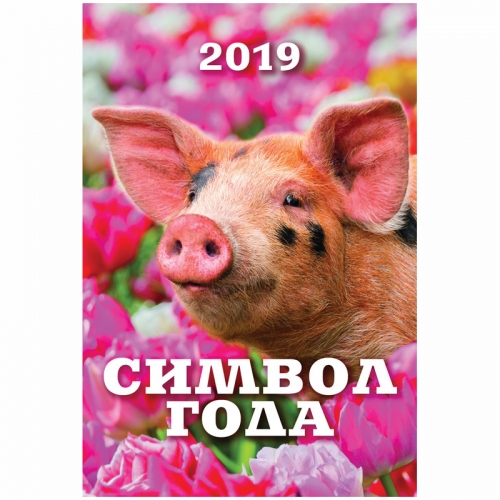 ���� �������. ��������� �� 2019 ���. ����������� ������������ � ���, ����������� �������, �������, ������� ��� ����������, ���������, ����������, ��������. 2/18