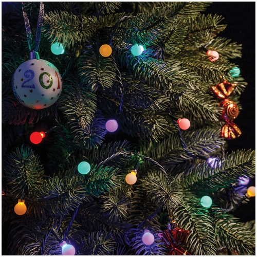 ���� �������. ������, �������, ��������, ������ ���������, ��������, ������, ��������, ���������������, �����������, ����� �������� �������� ����� ���� 1/2018