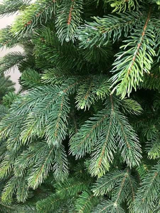 ���� �� 01.11. ������������ ������ �������-������. 