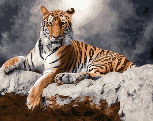 ���� �������. �������. ������� �� ������� � ������ ������ ��� ����������. ����� 3