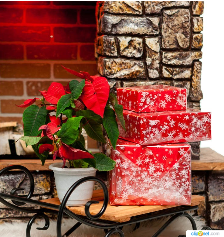 ���� �� 11.11. ���������� ����� ��� ������ ���� ���������� �������! ��������� ��� �������, ������� ������� ������� ���������, ���������� ������. � ��� �� �������: ������ ���������, �����������.