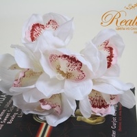 ��� ���������) � �������� ��������.... �����(: �������!  