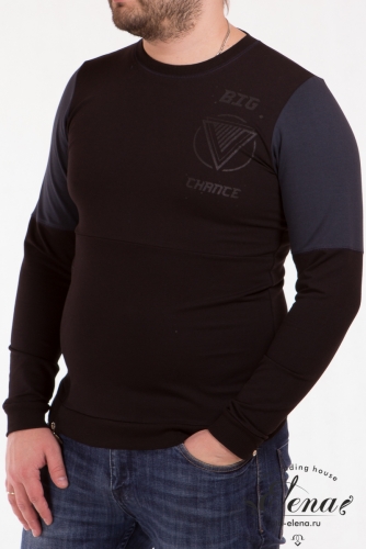 ���� �������. ���������� �������� ��� ���� ����� �� 