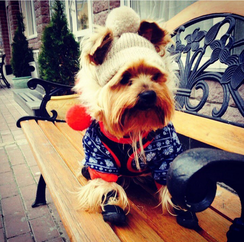 ���� �������. ������ � ���������� ��� ����� �� Lim@rgy. ���������� �� 60% - ���������� ��������� ��������! + ���� �������! ����� 5.