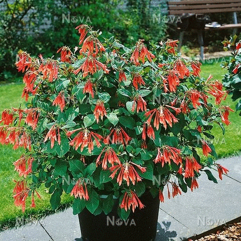 ���� ������� �� 7 ������. ������������ �������, ������, ���������� �����������, ���������� � ��, �������, ���������� � ������ ������ ��������. ��������� �� ����� 2019 ����