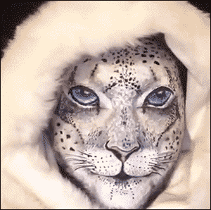 ��� ���������