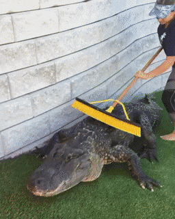 ��� ��� �������� �������?