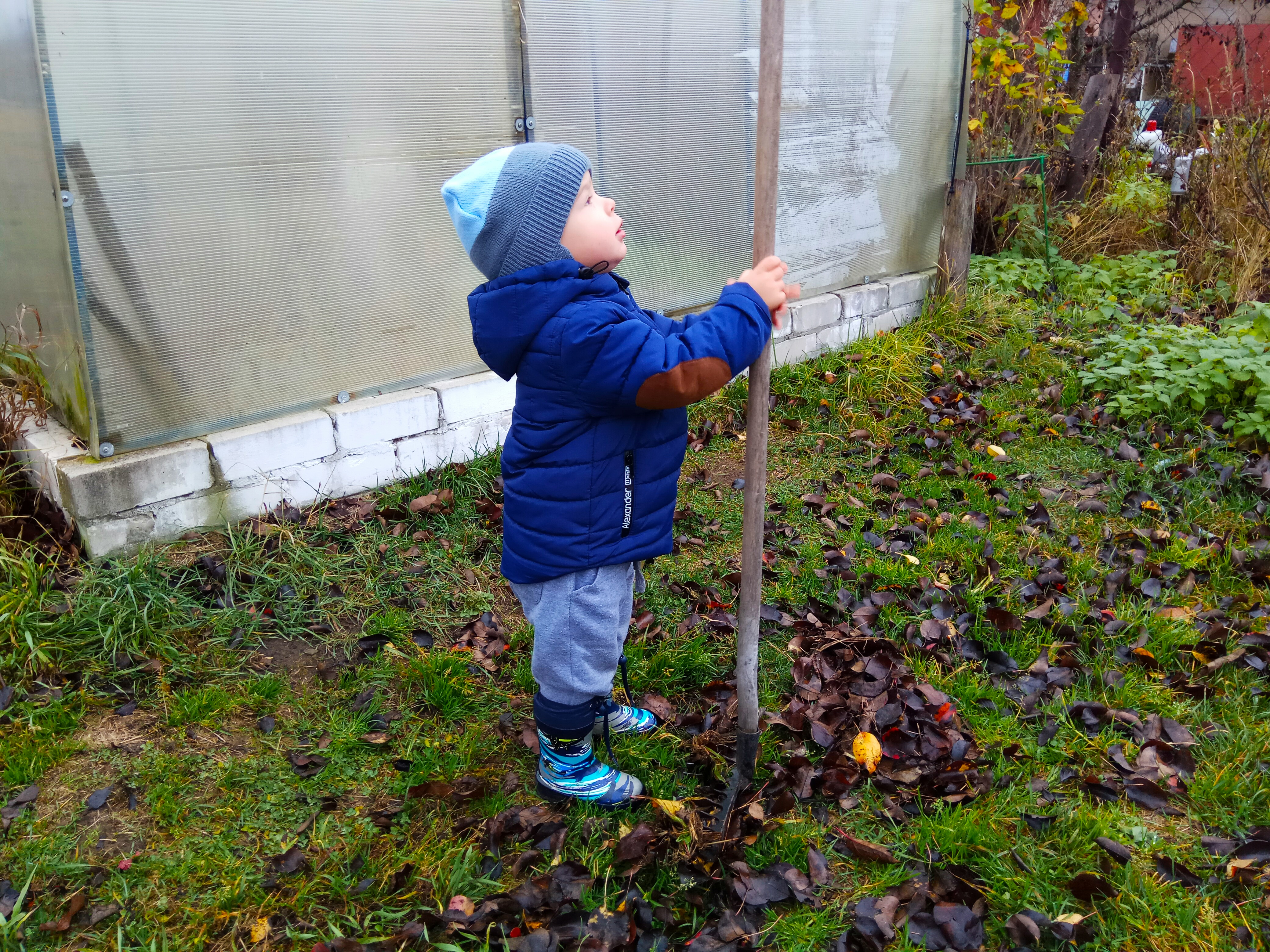 �������� �������� #���������� #����������������� #��� #�������� #�����2018 #�������� #����������������������� #��������������������� #�������_�����_� #petrova_maria_n