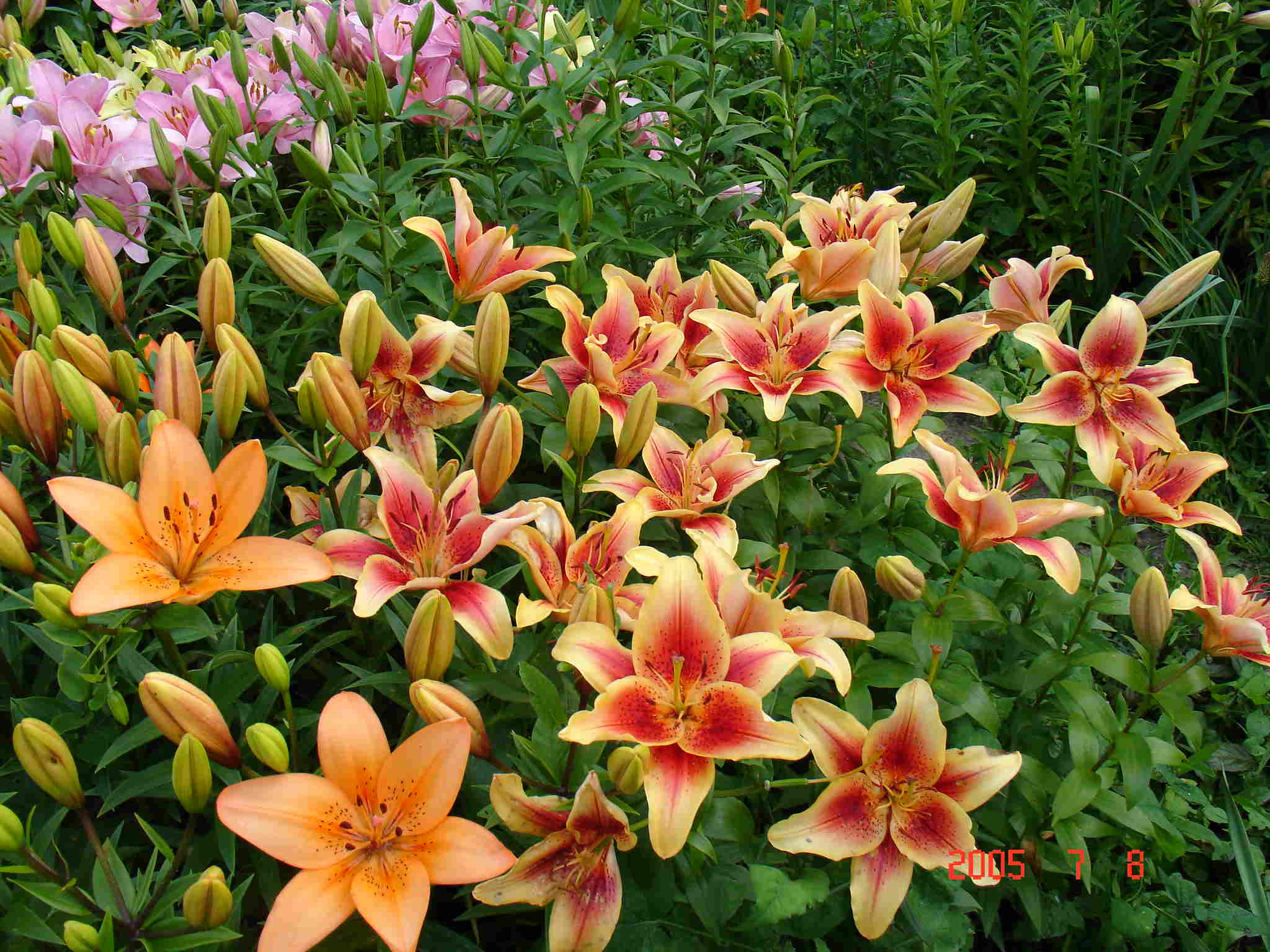 ���� �������. ���������� � ������������ (�������)�����, �����, ���������, �������� � ����� ����� ������ �������. ��������� �� ����� 2019�.