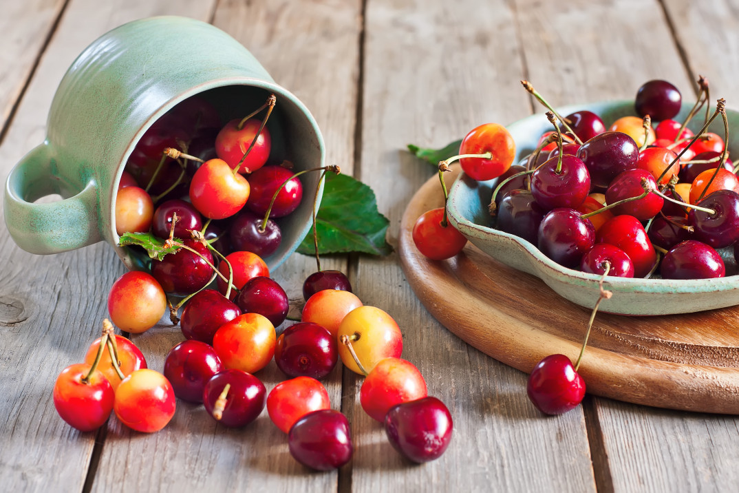 ���� �������. �������� �������. ����� �����������.��������� �� ����� 2019�