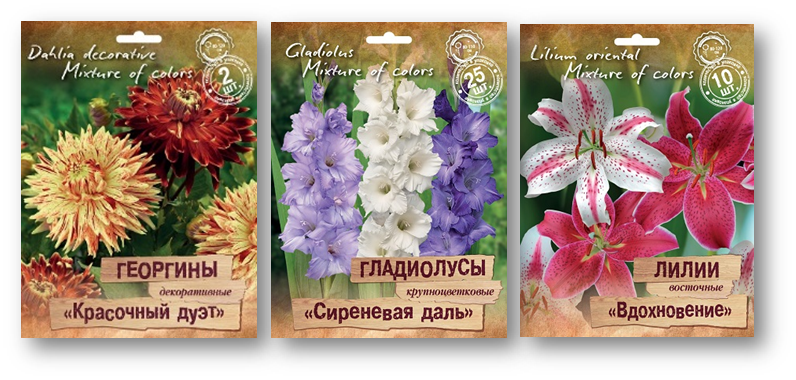 ���� ������� �� 10.11 - ���o��r�� �o�ck - ���������� � ������������. �������. ����� 10+1 � �������! - ��������� �� ����� 2019