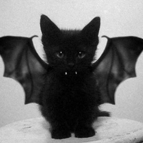 ������� ��������, ������� � �����, ������ ������������ ������