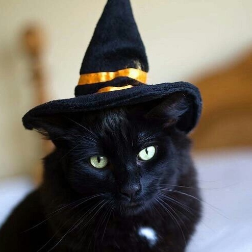 ������� ��������, ������� � �����, ������ ������������ ������