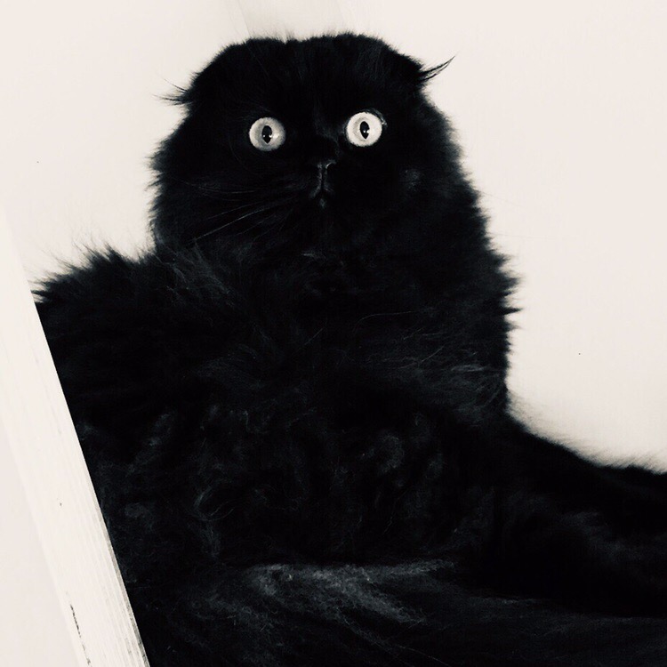 6 ������������ �������� ������ ����