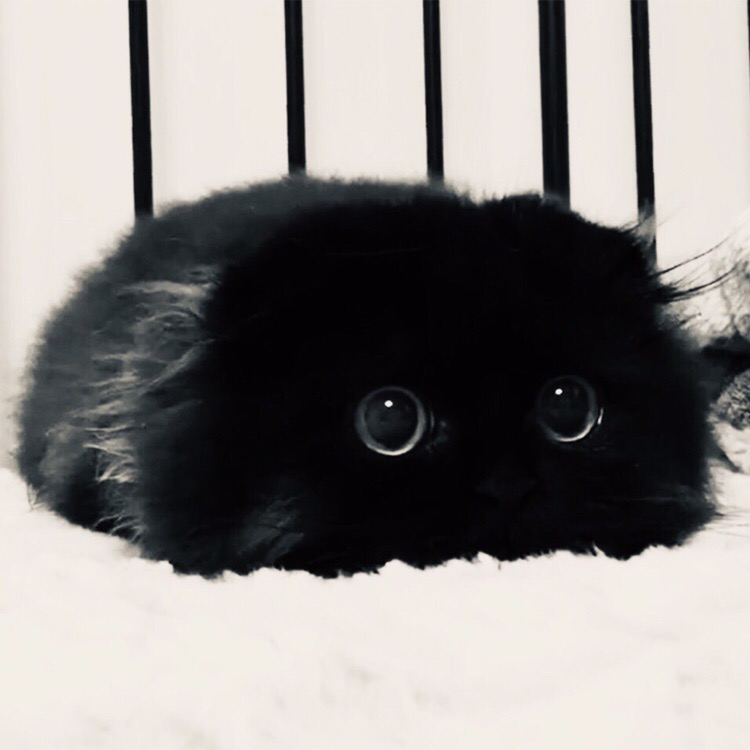 6 ������������ �������� ������ ����