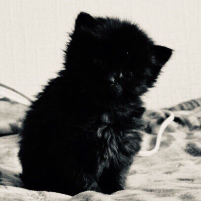 6 ������������ �������� ������ ����