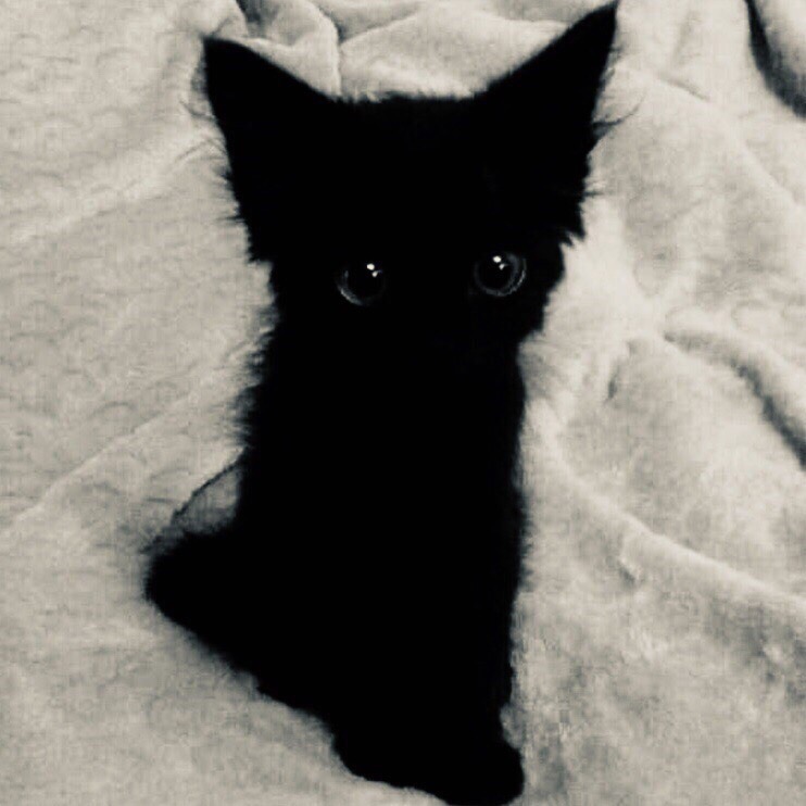 6 ������������ �������� ������ ����