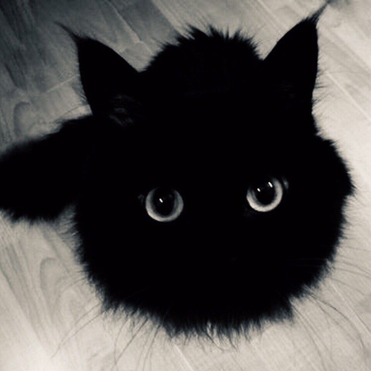 6 ������������ �������� ������ ����