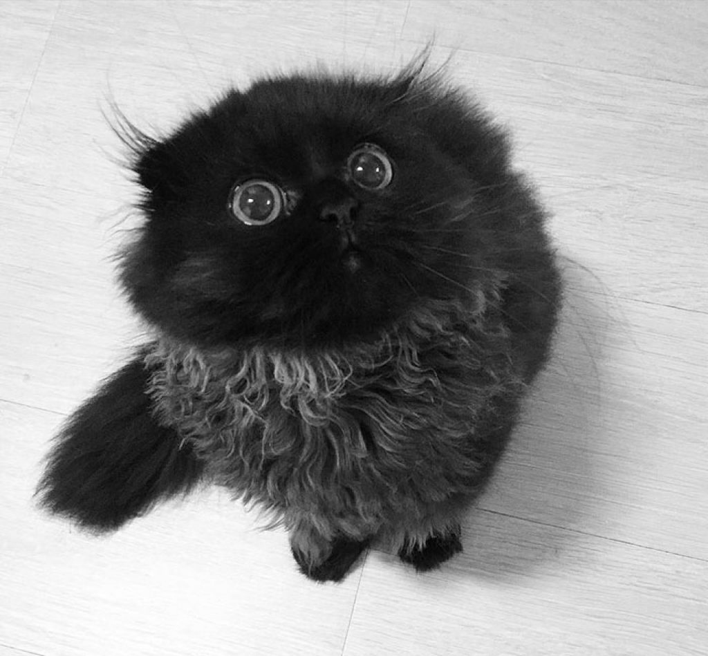 6 ������������ �������� ������ ����