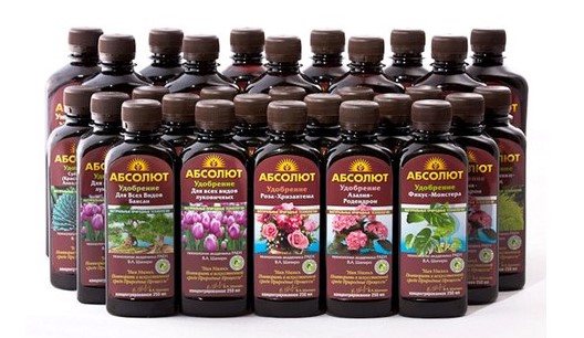 �ӣ ��� �������! � �� ������ - ���������, �����, �����, ��������, ���. ����� ������� �� ��������� ����� - ������������� ����� � ���� ��������. �������!