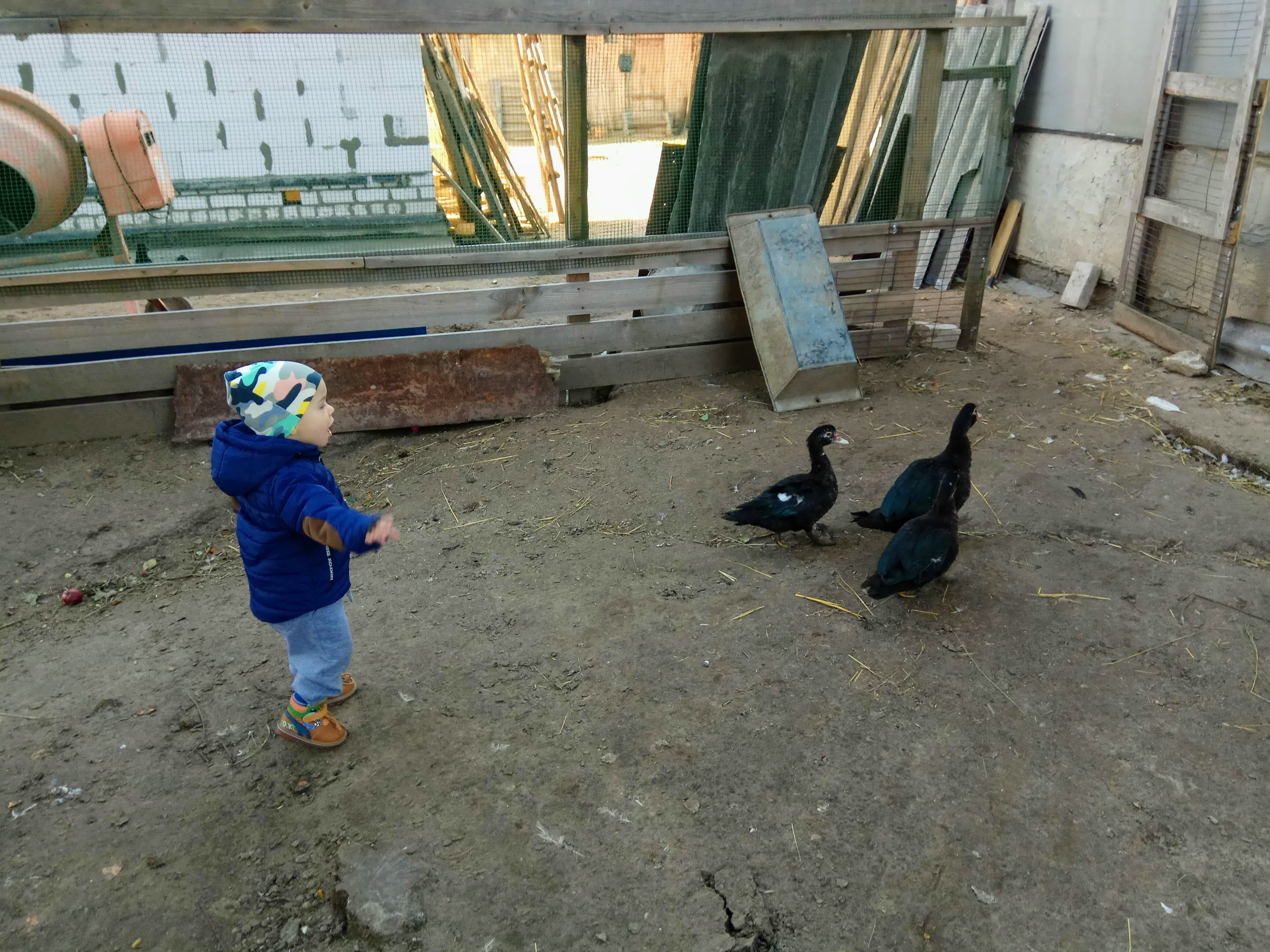 ���-���-��� #���������� #����������������� #��� #��������������������� #����������������������� #�������� #���� #�������_�����_� #petrova_maria_n