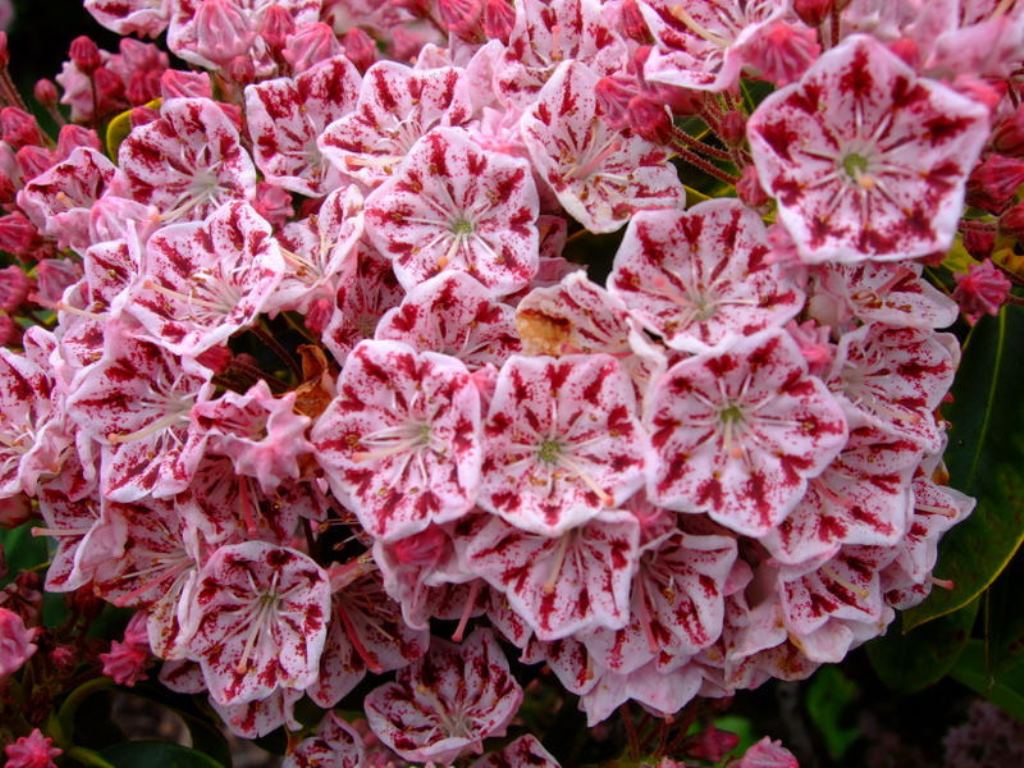 ������� �������������. ����������� ����������� �����. ������ � � �����������!