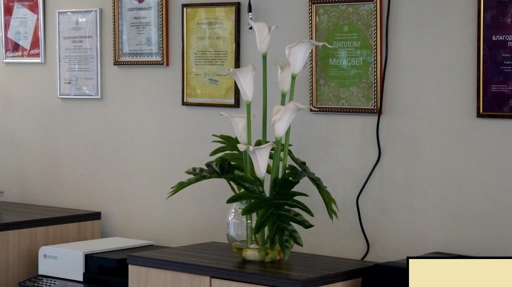 [b] ���� ������� �� 6 �������. ������������� ����� � ����������� � ��������� ����, ����-�-����, ��� �����. [b]