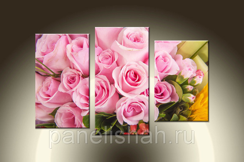 [b] ���� �� 6 �������. ��������� ������� �� ��������� ����������: �����, ������� ,��������, ��������, �������� ����������, ���������, ���� [b]