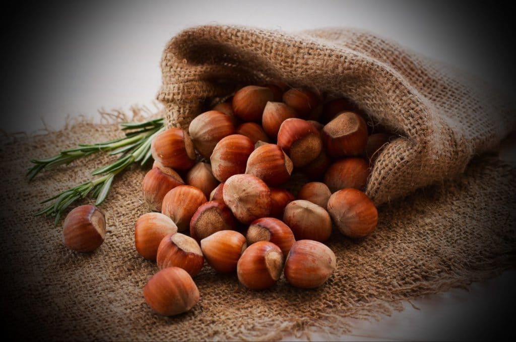 ���� �� 12 ������. �����, ���������, ������, ����, ���������� . ������� 19 ����