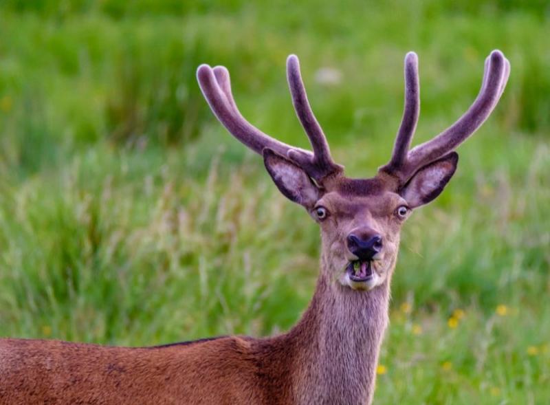 ������� ����