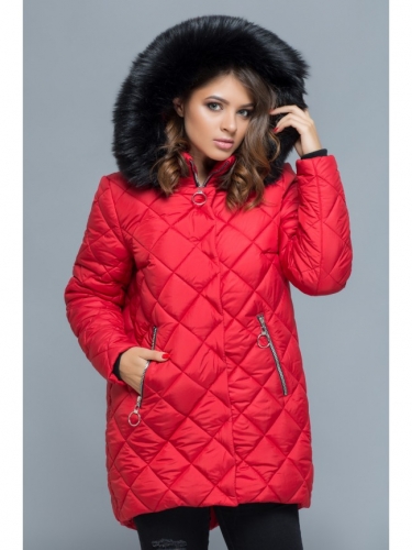  ���� �� 21 ������.�������! ������ ������,��������,�����,�����,������.��������� ���������� ������! �����������,��������,���������� �� ������ �����.�� 42 �� 70 �������.��� �����. �����-18.