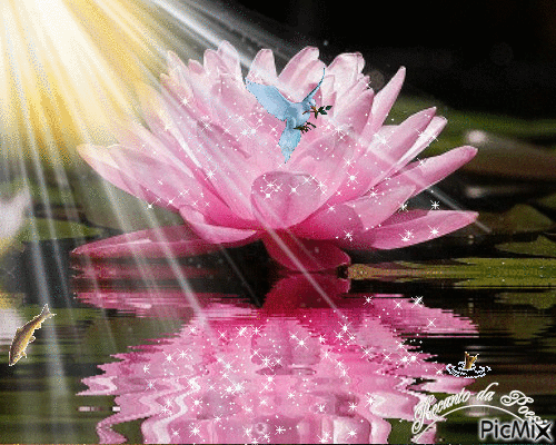 ���� �������. ������ � ����-��� ������� � ������! ������, ���������� �������� ��� �������� � ����������.��������� �� ����� 2019�